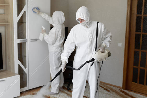 Best Toxic Mold Removal  in Mitchellville, MD